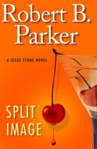 Parker, Robert B — Split Image