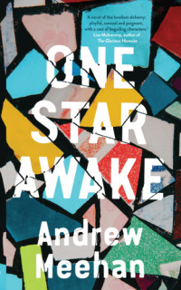 Meehan Andrew — One Star Awake