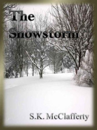 McClafferty, S K — The Snowstorm