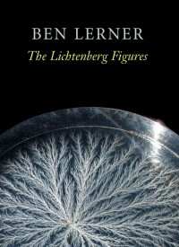 Ben Lerner — The Lichtenberg Figures