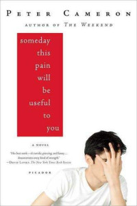 Cameron Peter — Someday This Pain Will Be Useful to You