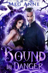Meg Anne — Bound by Danger: A Fated Mates Psychic Paranormal Romance (Undercover Magic Book 6)
