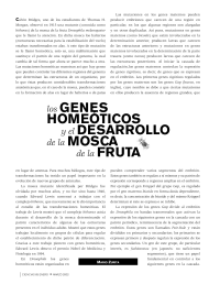 Zurita Mario — Los Genes Homeoticos Y El Desarrollo De La Mosca De La Fruta