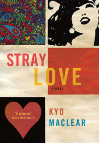 Maclear Kyo — Stray Love