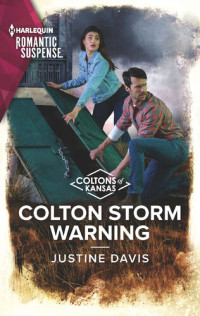 Justine Davis — Colton Storm Warning