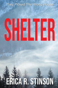 Erica R. Stinson — Shelter: A Psychological Suspense Thriller