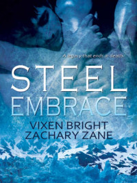 Bright Vixen; Zane Zachery — Steel Embrace