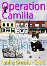 Ormiston-Smith, Tabitha — Operation Camilla