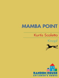 Scaletta Kurtis — Mamba Point
