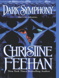 Feehan Christine — Dark Symphony