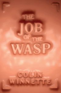 Winnette Colin — The Job of the Wasp