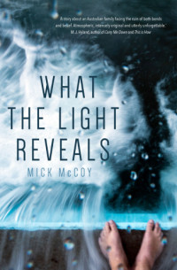 McCoy Mick — What the Light Reveals