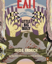 Heid E. Erdrich, Amy Gerstler (editor)  — Little Big Bully