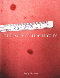 Brown Andy — The Mole Chronicles