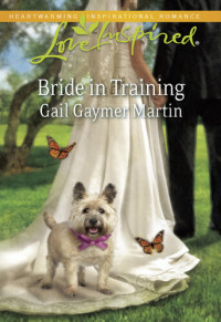 Gail Gaymer Martin — Bride in Training