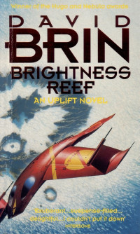 David Brin — Brightness Reef