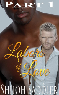 Saddler Shiloh — Labors of Love Part 1 (Gay Historical Romance)