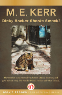 Kerr, M E — Dinky Hocker Shoots Smack!