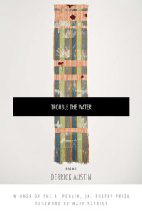 Derrick Austin — Trouble the Water