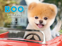 J. H. Lee — Boo: Little Dog in the Big City