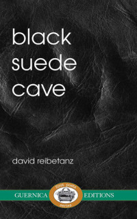 David Reibetanz — Black Suede Cave