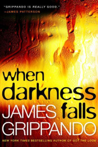 Grippando James — When Darkness Falls