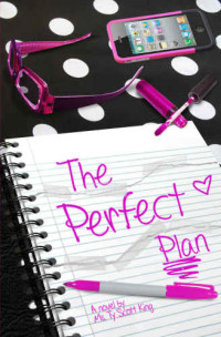 Ty Ms; King Scott — The Perfect Plan