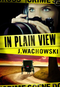 Wachowski J — In Plain View