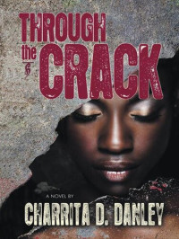 Charrita D Danley — Through the Crack