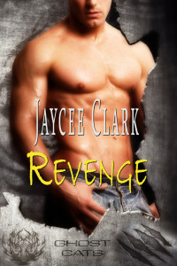 Clark Jaycee — Revenge