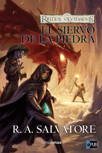 Salvatore, R A — El siervo de la piedra