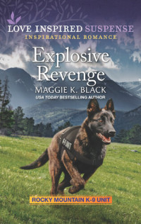 Maggie K. Black — Explosive Revenge