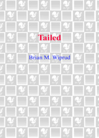Wiprud, Brian M — Tailed