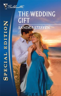 Steffen Sandra — The Wedding Gift