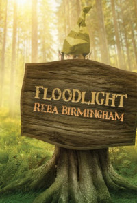 Birmingham Reba — Floodlight