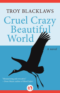 Blacklaws Troy — Cruel Crazy Beautiful World