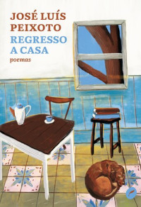 José Luís Peixoto — Regresso a Casa