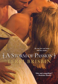 Brisbin Terri — A Storm of Passion