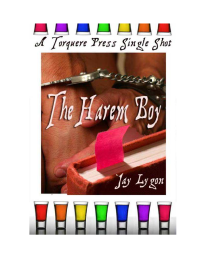 Lygon Jay — The Harem Boy