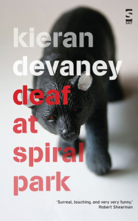 Kieran Devaney — Deaf at Spiral Park