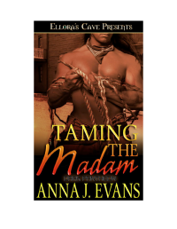 Evans, Anna J — Taming the Madam