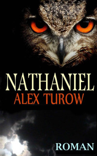 Turow, Alex — Nathaniel (German Edition)