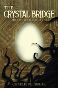 Pulsipher Charlie — The Crystal Bridge