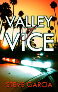 Garcia Steve — Valley of Vice