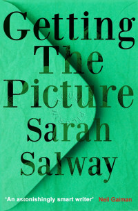 Salway Sarah — Getting The Picture