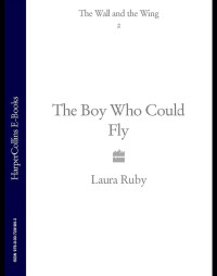 Laura Ruby — The Boy Who Could Fly (The Wall and the Wing, Book 2)