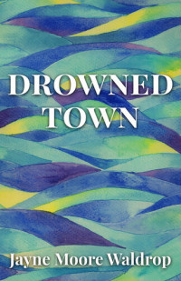 Jayne Moore Waldrop — Drowned Town