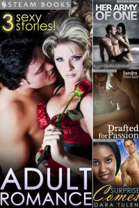 Laura Lovely; Sandra Sinclair; Dara Tulen — ADULT ROMANCE--3 Sexy Stories!
