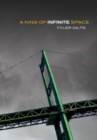 Dilts Tyler — A King of Infinite Space