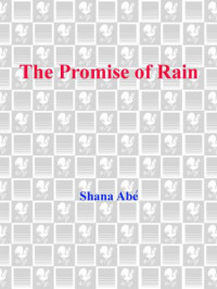 Abe Shana — The Promise of Rain